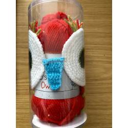 Kit Bonnet Rouge Crochet - Complet Notice Incluse