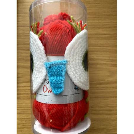 Kit Bonnet Rouge Crochet - Complet Notice Incluse