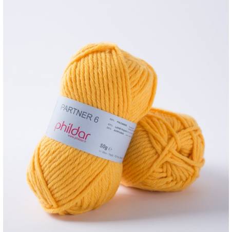 Partner 6 Phildar Orge Mixte Résistant Famille - Laine Phildar