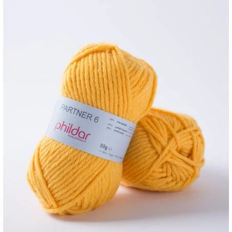 Partner 6 Phildar Orge Mixte Résistant Famille - Laine Phildar