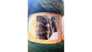 Tricoter un plaid en grosse laine : cocooning express
